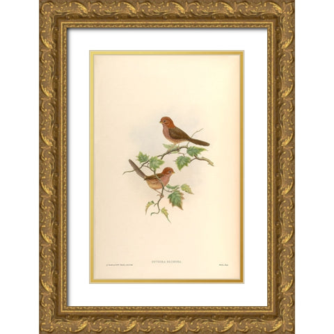 Suthora Brunnea Gold Ornate Wood Framed Art Print with Double Matting by CAG