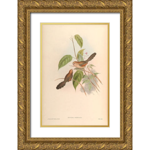 Suthora Webbiana Gold Ornate Wood Framed Art Print with Double Matting by CAG