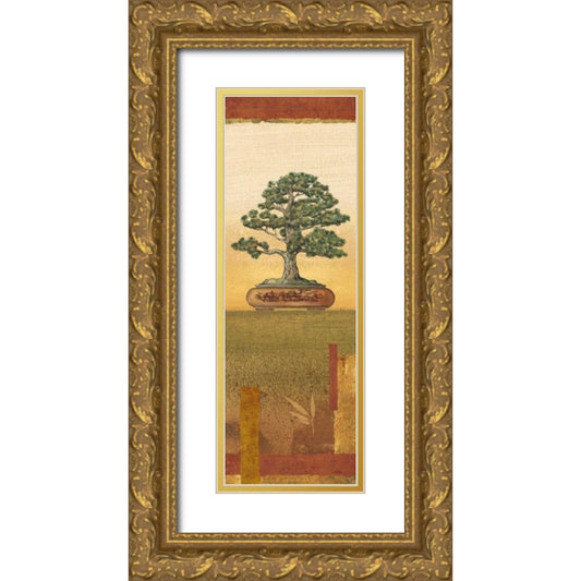 Perspective Image
