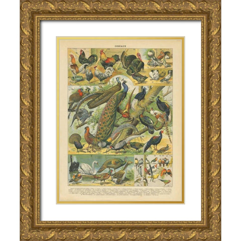 Oiseaux I Gold Ornate Wood Framed Art Print with Double Matting by Babbitt, Gwendolyn
