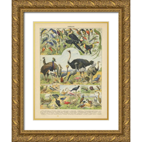 Oiseaux IV Gold Ornate Wood Framed Art Print with Double Matting by Babbitt, Gwendolyn