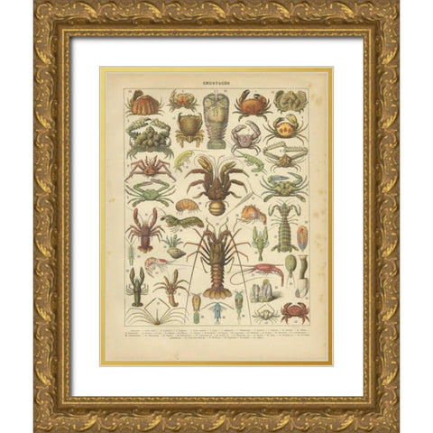 Crustaces Gold Ornate Wood Framed Art Print with Double Matting by Babbitt, Gwendolyn