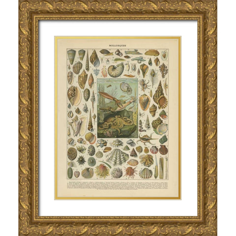 Mollusques Gold Ornate Wood Framed Art Print with Double Matting by Babbitt, Gwendolyn