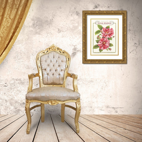 Rosa Mundi Gold Ornate Wood Framed Art Print with Double Matting by Babbitt, Gwendolyn