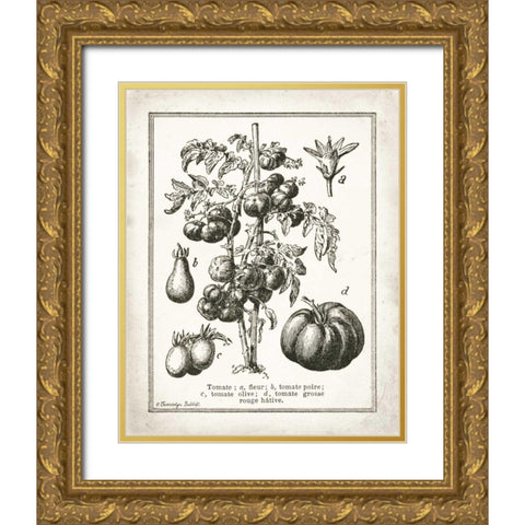 French Tomatoes Gold Ornate Wood Framed Art Print with Double Matting by Babbitt, Gwendolyn