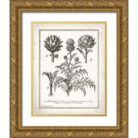 French Artichokes Gold Ornate Wood Framed Art Print with Double Matting by Babbitt, Gwendolyn