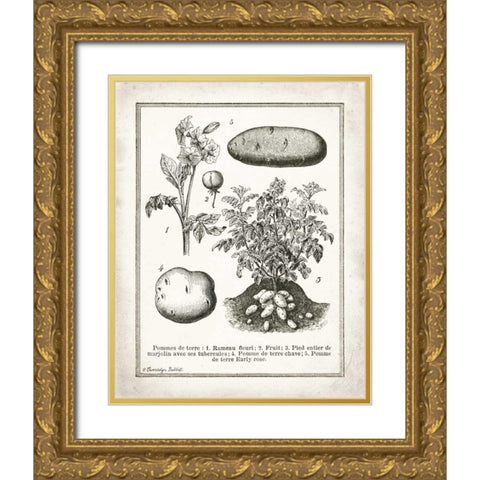 French Potatoes Gold Ornate Wood Framed Art Print with Double Matting by Babbitt, Gwendolyn