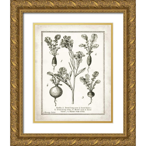 French Radishes Gold Ornate Wood Framed Art Print with Double Matting by Babbitt, Gwendolyn