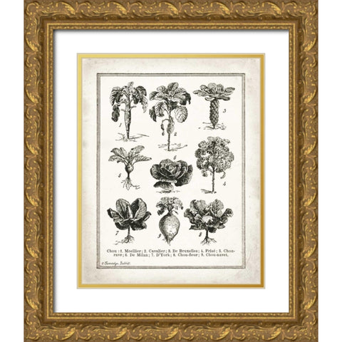 French Cabbage Gold Ornate Wood Framed Art Print with Double Matting by Babbitt, Gwendolyn