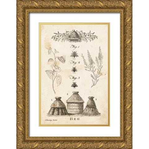 Bee Chart II Gold Ornate Wood Framed Art Print with Double Matting by Babbitt, Gwendolyn