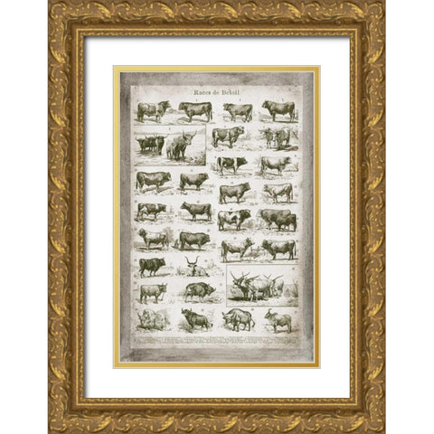 French Cow Chart Gold Ornate Wood Framed Art Print with Double Matting by Babbitt, Gwendolyn