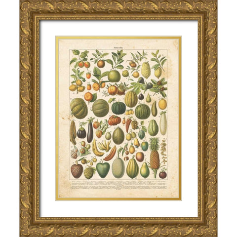 French Fruit Chart Gold Ornate Wood Framed Art Print with Double Matting by Babbitt, Gwendolyn
