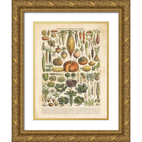 French Vegetable Chart Gold Ornate Wood Framed Art Print with Double Matting by Babbitt, Gwendolyn