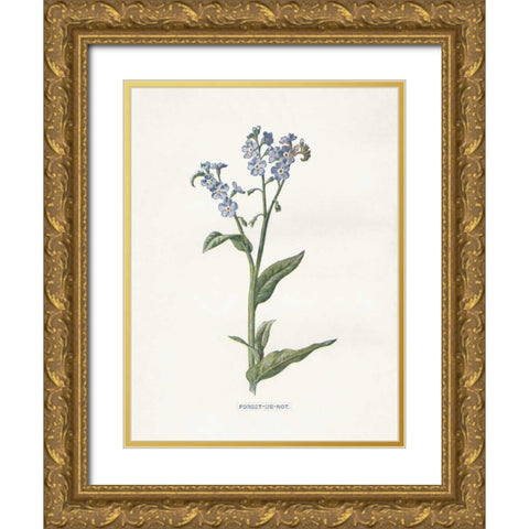 Forget me Not Gold Ornate Wood Framed Art Print with Double Matting by Babbitt, Gwendolyn