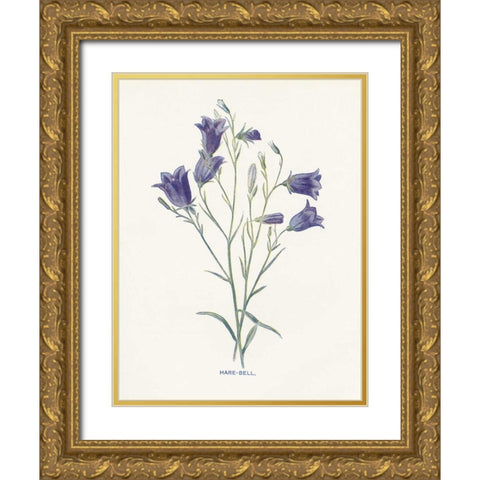 Hare-Bell Gold Ornate Wood Framed Art Print with Double Matting by Babbitt, Gwendolyn