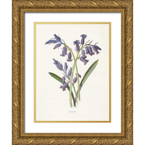 Hyacinth Gold Ornate Wood Framed Art Print with Double Matting by Babbitt, Gwendolyn
