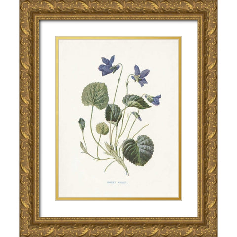 Sweet Violets Gold Ornate Wood Framed Art Print with Double Matting by Babbitt, Gwendolyn
