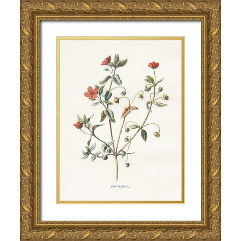 Pimpernel Gold Ornate Wood Framed Art Print with Double Matting by Babbitt, Gwendolyn