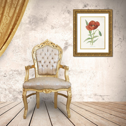 Scarlet Poppy Gold Ornate Wood Framed Art Print with Double Matting by Babbitt, Gwendolyn