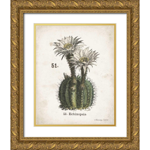 Cacti IV Gold Ornate Wood Framed Art Print with Double Matting by Babbitt, Gwendolyn
