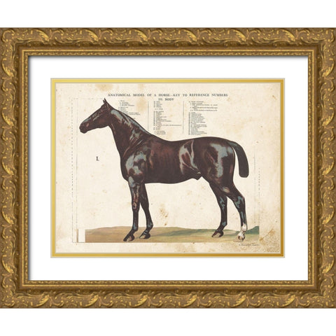 Anatomical Model Horse Gold Ornate Wood Framed Art Print with Double Matting by Babbitt, Gwendolyn