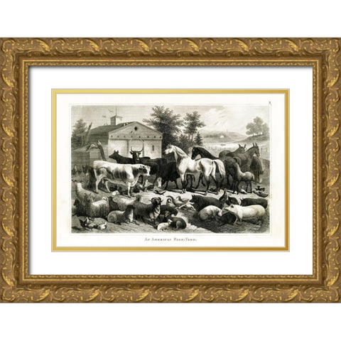 1800s Farm Animal Chart Gold Ornate Wood Framed Art Print with Double Matting by Babbitt, Gwendolyn