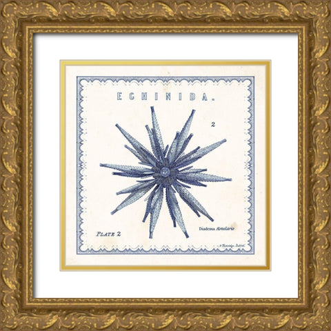 Sea Urchin II Gold Ornate Wood Framed Art Print with Double Matting by Babbitt, Gwendolyn