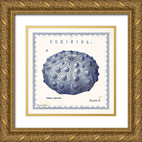 Sea Urchin III Gold Ornate Wood Framed Art Print with Double Matting by Babbitt, Gwendolyn