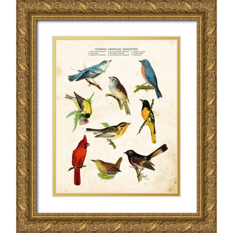 Bird Chart II Gold Ornate Wood Framed Art Print with Double Matting by Babbitt, Gwendolyn