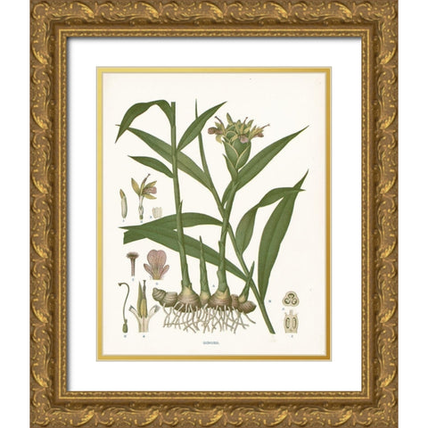 Ginger Botanical Gold Ornate Wood Framed Art Print with Double Matting by Babbitt, Gwendolyn