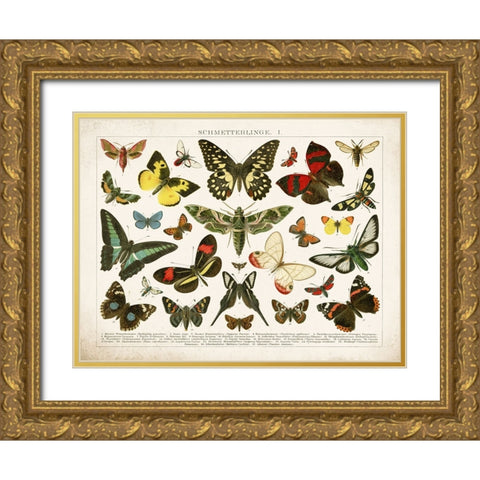 Butterfly Chart Gold Ornate Wood Framed Art Print with Double Matting by Babbitt, Gwendolyn