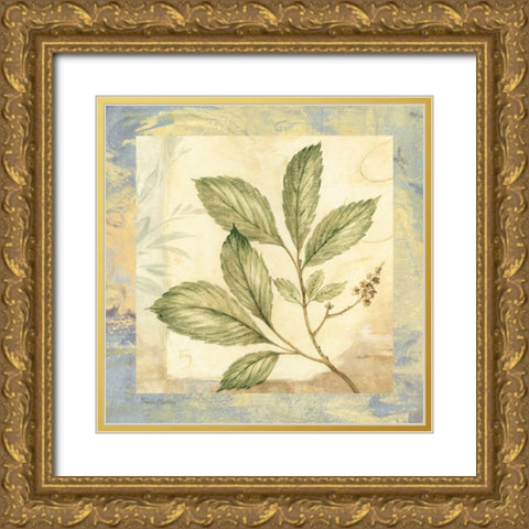 Leaf Botanicals II Gold Ornate Wood Framed Art Print with Double Matting by Gladding, Pamela