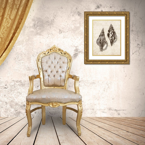 Elegant Shells I - mini Gold Ornate Wood Framed Art Print with Double Matting by Harbick, N