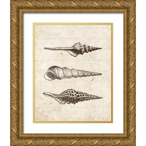Elegant Shells II - mini Gold Ornate Wood Framed Art Print with Double Matting by Harbick, N