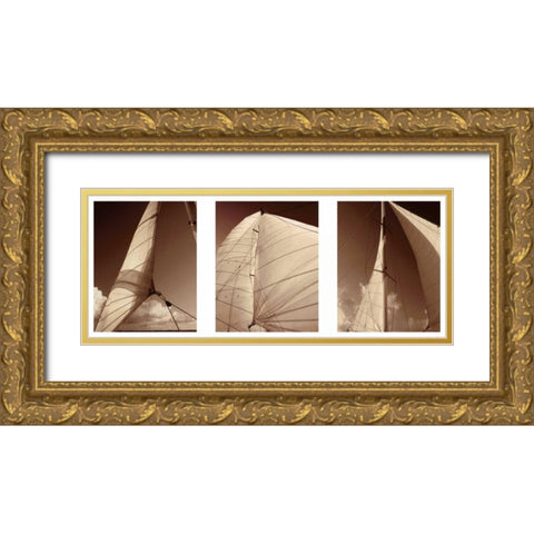Windward Sails Triptych Gold Ornate Wood Framed Art Print with Double Matting by Hausenflock, Alan
