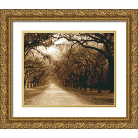 Savannah Oaks I Gold Ornate Wood Framed Art Print with Double Matting by Hausenflock, Alan