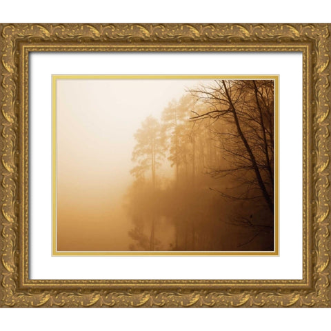 Fog on Shelly Lake I Gold Ornate Wood Framed Art Print with Double Matting by Hausenflock, Alan