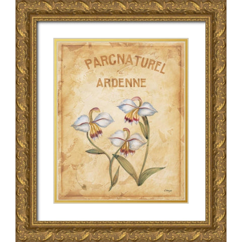 Parcnaturel II Gold Ornate Wood Framed Art Print with Double Matting by Linza, Loretta
