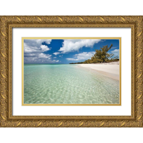Deep Creek Shoreline Gold Ornate Wood Framed Art Print with Double Matting by Malvin, Larry