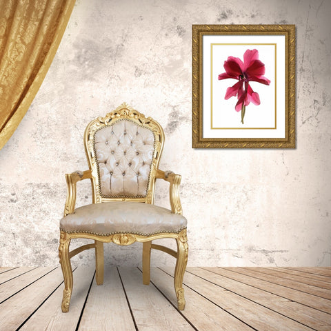 Cyclamen Dance Gold Ornate Wood Framed Art Print with Double Matting by McLemore, Julia