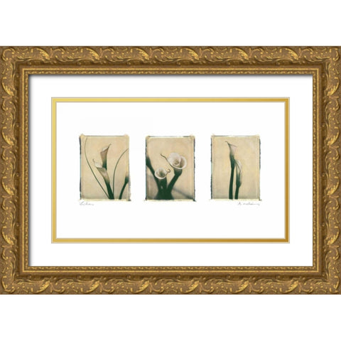 Lilies Gold Ornate Wood Framed Art Print with Double Matting by Melious, Amy