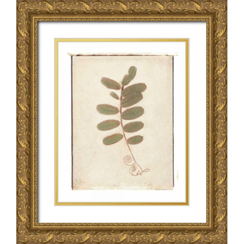 Tendril Gold Ornate Wood Framed Art Print with Double Matting by Melious, Amy