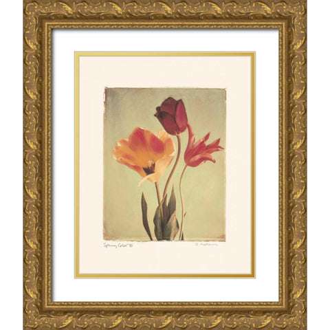 Spring Color III Gold Ornate Wood Framed Art Print with Double Matting by Melious, Amy