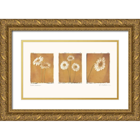 White Gerbers Gold Ornate Wood Framed Art Print with Double Matting by Melious, Amy