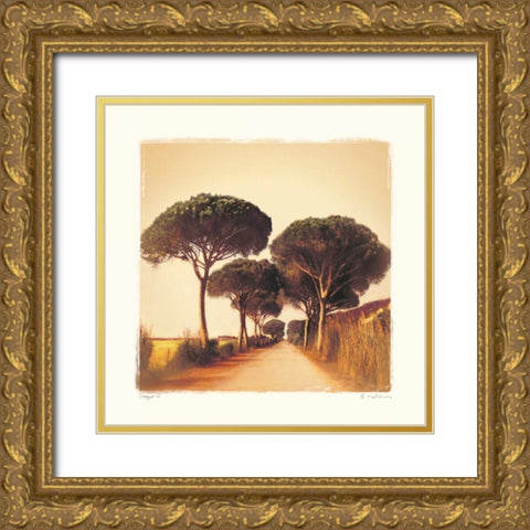 Viaggio I Gold Ornate Wood Framed Art Print with Double Matting by Melious, Amy