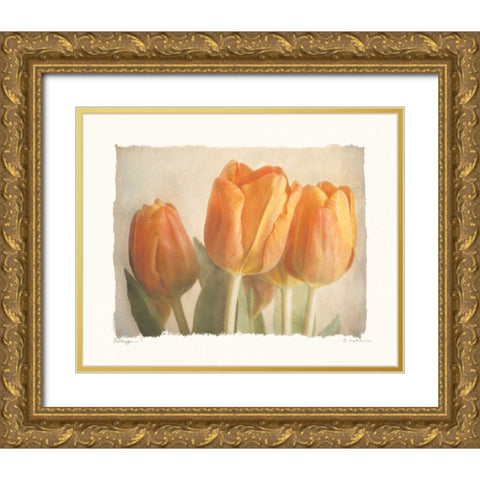 Bellezza I Gold Ornate Wood Framed Art Print with Double Matting by Melious, Amy