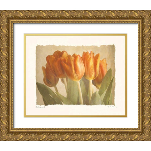 Bellezza II Gold Ornate Wood Framed Art Print with Double Matting by Melious, Amy