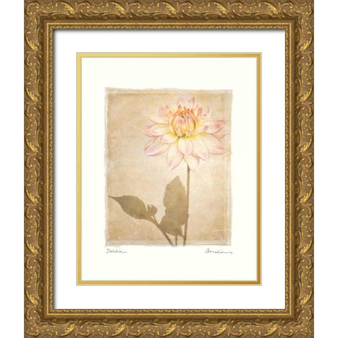 Dahlia Gold Ornate Wood Framed Art Print with Double Matting by Melious, Amy