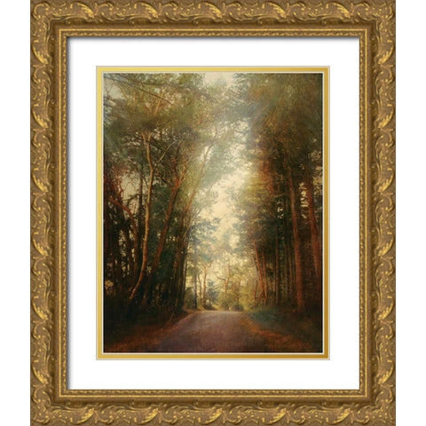 Road of Mysteries II Gold Ornate Wood Framed Art Print with Double Matting by Melious, Amy