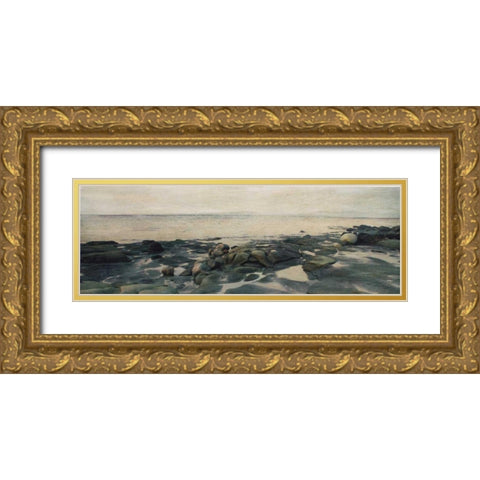 Rocky Shores II Gold Ornate Wood Framed Art Print with Double Matting by Melious, Amy